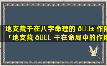 地支藏干在八字命理的 🐱 作用「地支藏 🐕 干在命局中的作用(重点篇)」